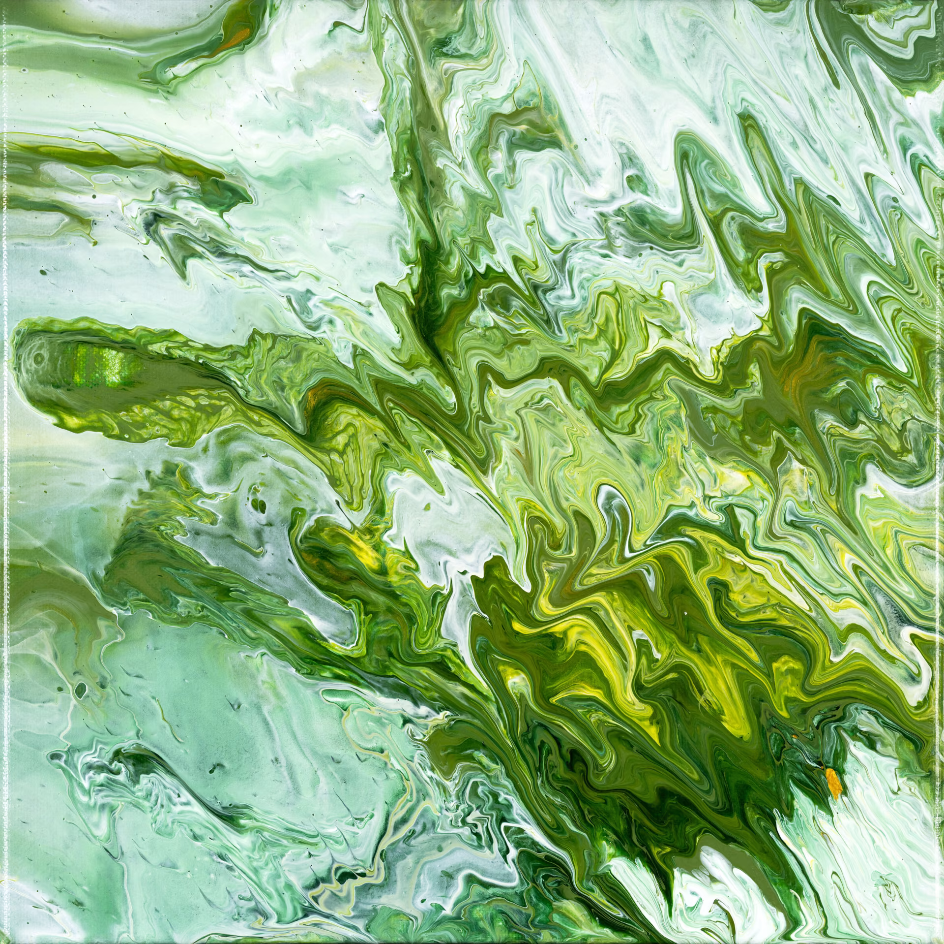 reartivated_The Green-Pink.jpg